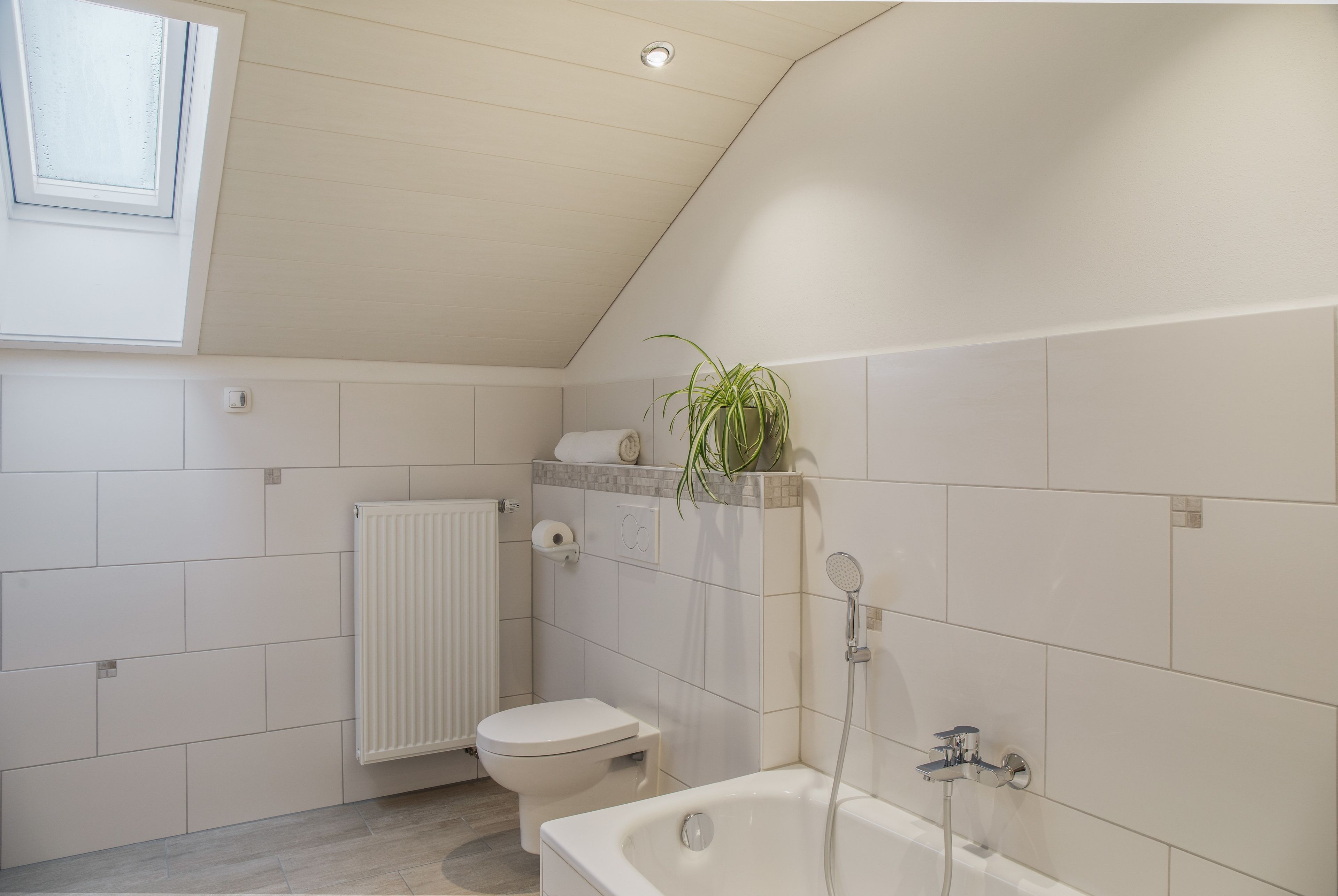Ein Badezimmer mit Toilette, Dusche und Heizkörper.