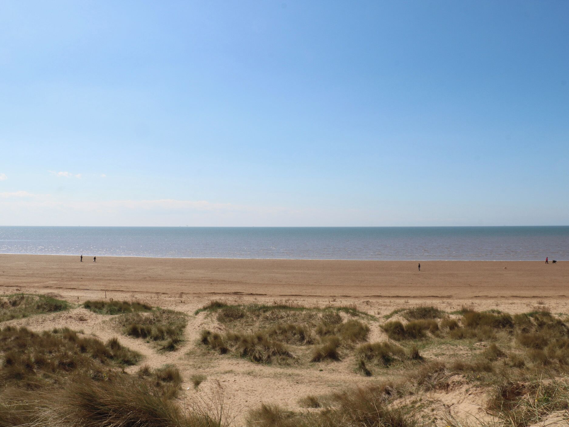 Una spiaggia con dune di sabbia e un cielo sereno.