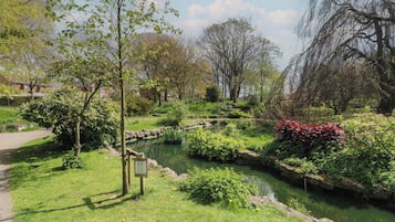 A park with a pond, pathways, and various trees.