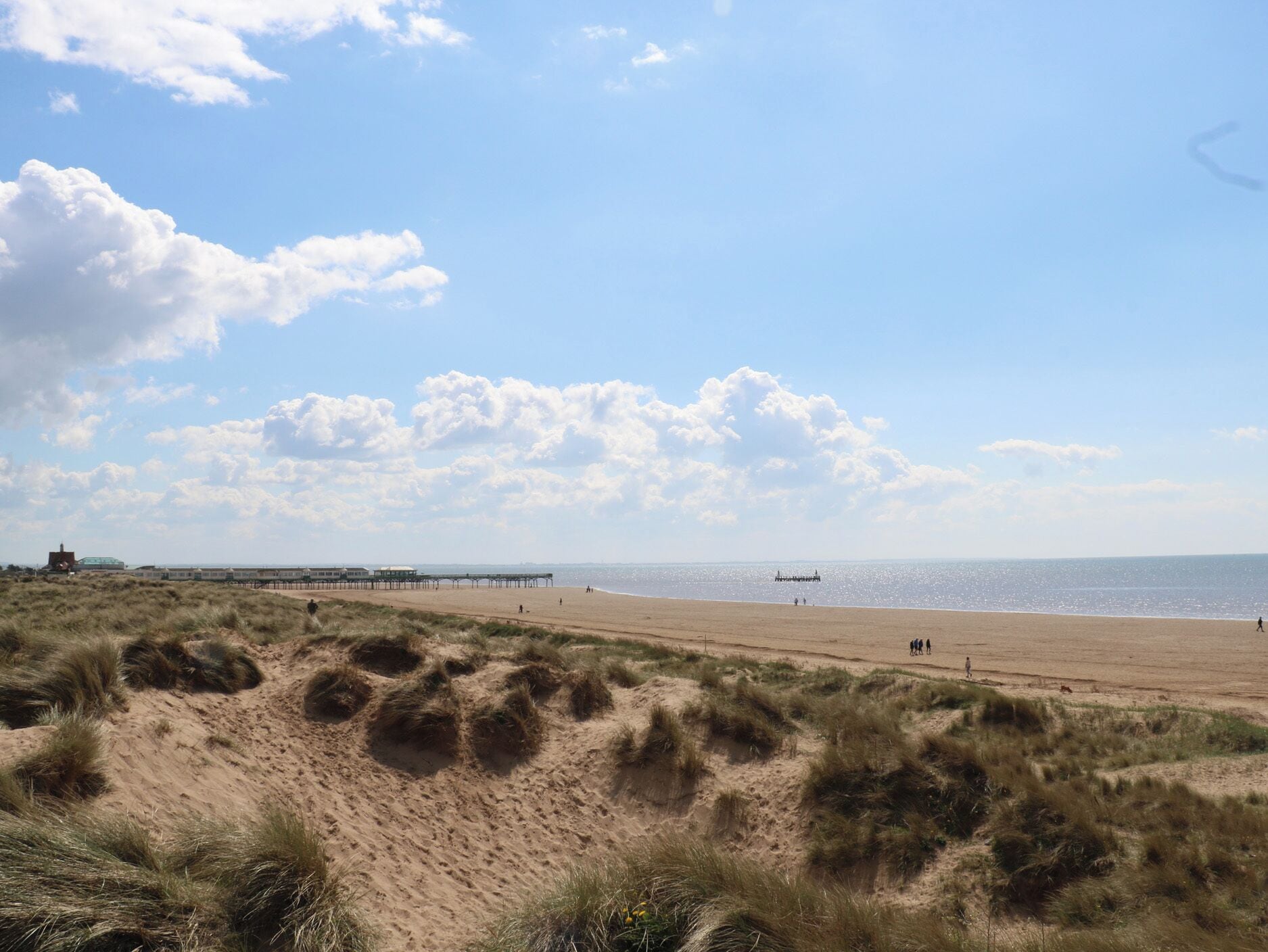 A beach with dunes, a pier, and a distant boat.