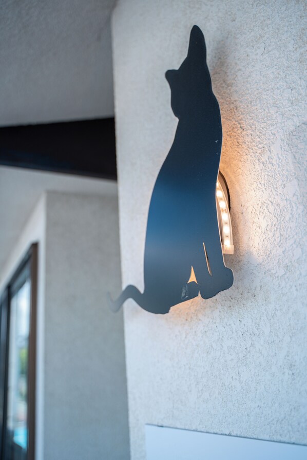 Silueta de un gato sobre una pared texturizada, con una fuente de luz detrás.