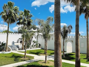 Un patio con palmeras, una pared blanca y una reja.