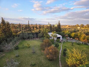Una casa rodeada de un jardín exuberante bajo un cielo despejado.