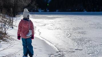 A person walking on a frozen body of water with trees in the background.