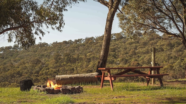 Een picknickplaats met een vuurkorf, een houten bank en een picknicktafel in een grasveld, met bomen op de achtergrond.
