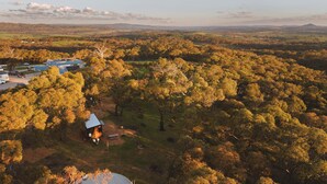 A remote cabin surrounded by dense forest, with a clear view of the surrounding landscape. - Tallarook Hilltop Tiny House 4 by Tiny Away (Tallarook)