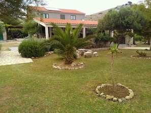 Une maison avec un toit en tuiles, un chemin de pierre et un petit jardin agrémenté d’un palmier et d’un jeune arbre.