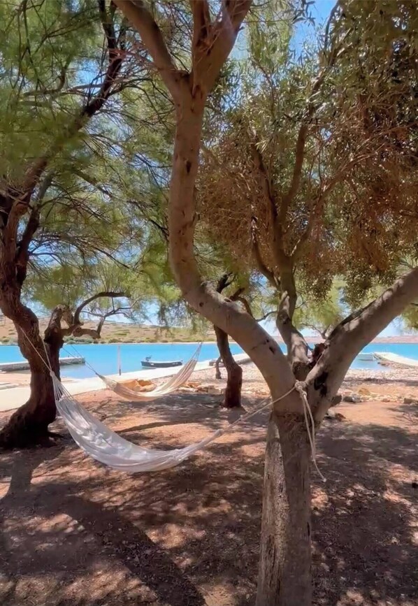 A hammock tied between trees near a body of water.