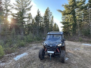 A black ATV with a license plate in a forested area. - Waterfront | Kayaks | Screened Patio | Bonfire (Upper Rexton)
