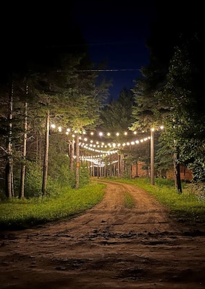 A dirt path flanked by trees, illuminated by string lights. - Waterfront | Kayaks | Screened Patio | Bonfire (Upper Rexton)