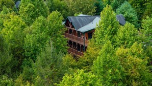 A cabin surrounded by dense forest. - Private 8BR Gatlinburg Cabin w Amazing Views (Gatlinburg)