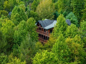 Eine Hütte, umgeben von dichtem Wald.