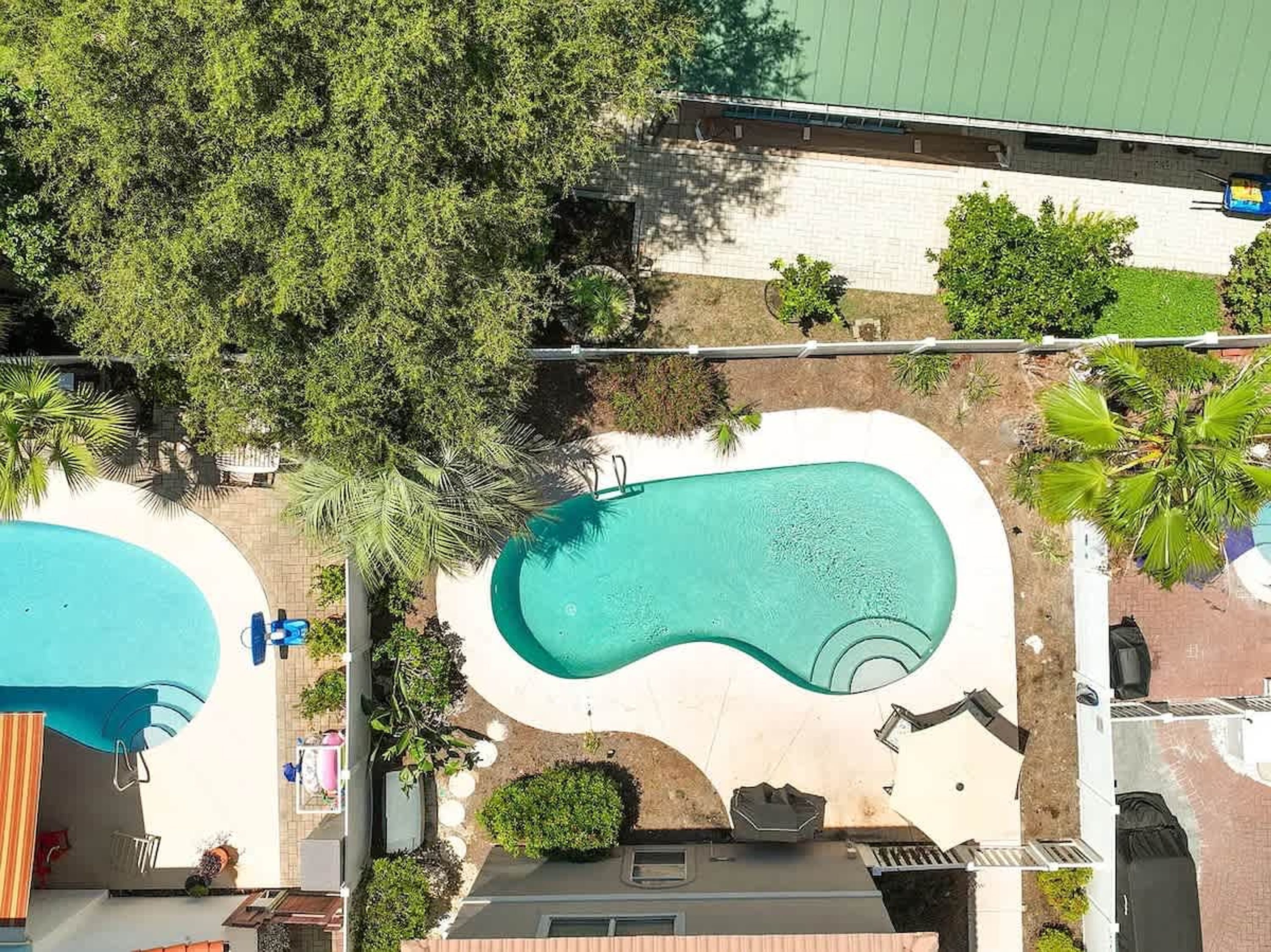 Una piscina de borde curvo, rodeada de vegetación y un muro de ladrillo.