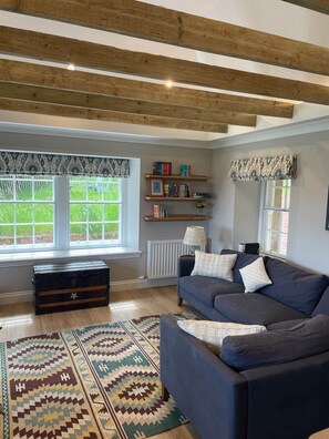 Smart TV, chimenea y libros 