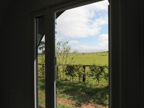 Vista desde una ventana a un campo verde con una cerca, árboles y cielo despejado.
