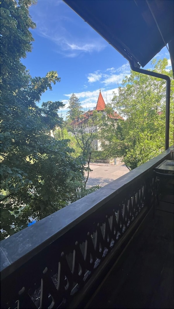 Room, Mixed Dorm, Terrace | Free WiFi - Vila Veselova (Ljubljana)