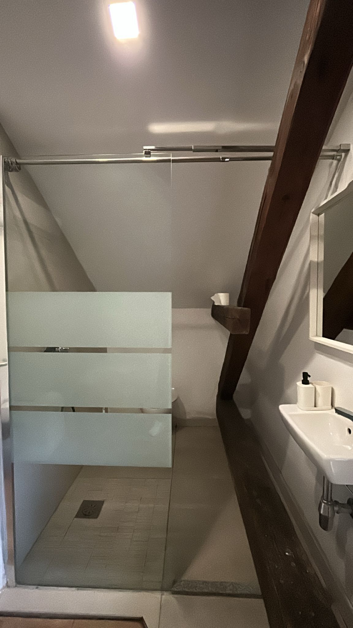 A bathroom with a shower, a toilet, a sink, and a mirror.
