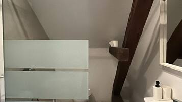 A bathroom with a shower, a toilet, a sink, and a mirror.