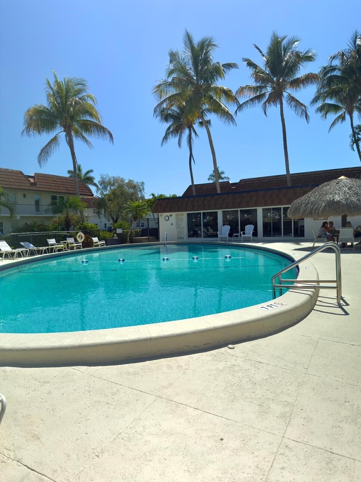 A swimming pool with lounge chairs and palm trees.