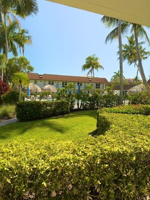 Property grounds - Paradise Awaits- Stylish Marco Island Apartment near the beach! (Marco Island)