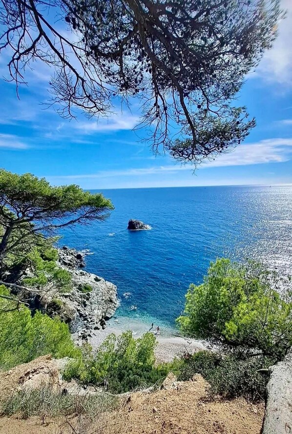 Eine Küstenlandschaft mit felsigem Gelände, dichter Vegetation und freiem Blick auf das Meer.