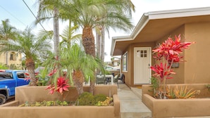 A residential area with a blue truck parked on the street, a house with a door and windows, and a small garden with plants and a palm tree.