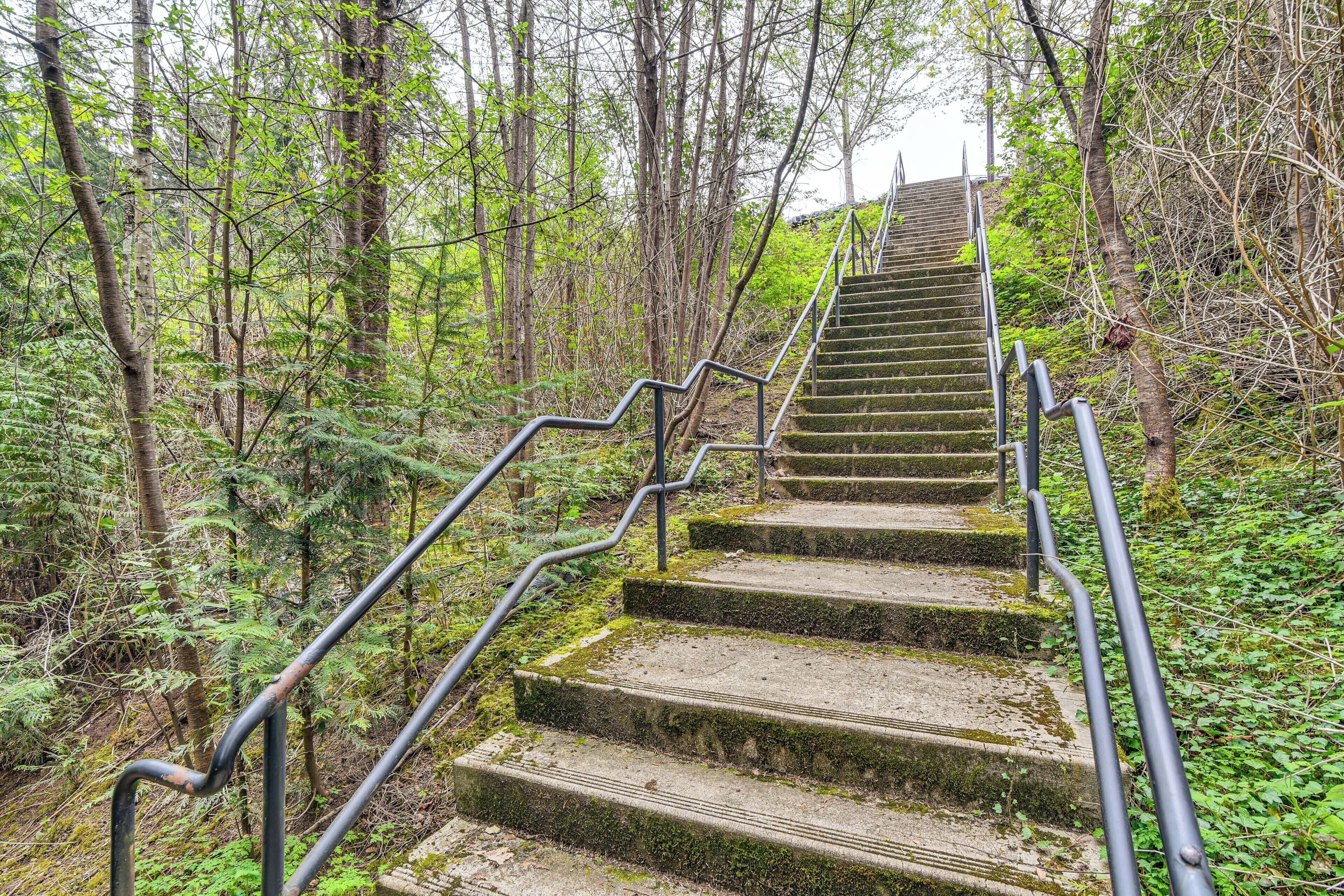A set of stone steps with metal railings, surrounded by dense green foliage.