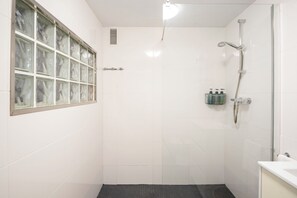 Shower, hair dryer, towels, soap