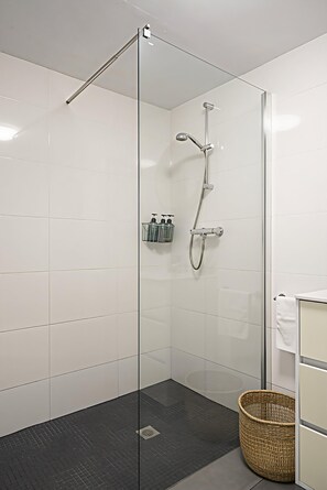 Shower, hair dryer, towels, soap