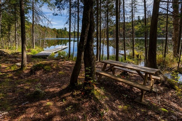 Un área boscosa con una mesa de picnic de madera y un muelle que se adentra en un lago.