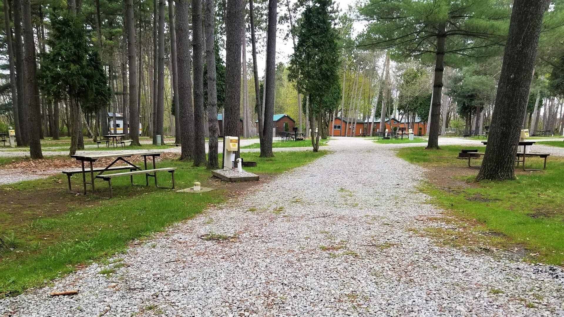 A gravel path leading to cabins surrounded by tall trees.