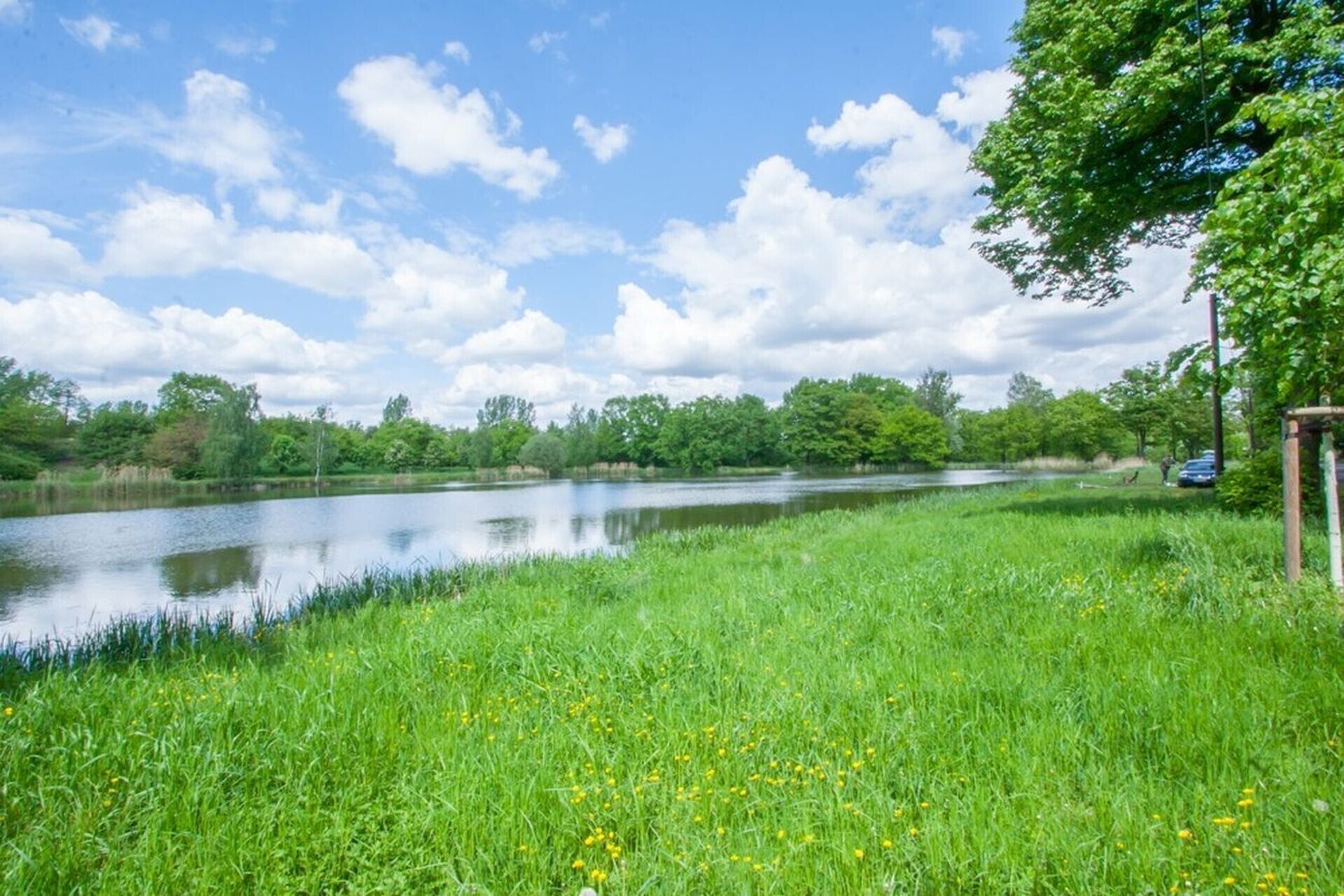 Ein ruhiger Fluss mit grünen Ufern und Bäumen, ein klarer Himmel und ein blaues Auto am Wasser geparkt.