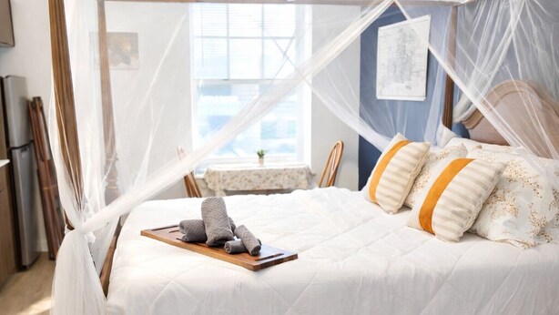 A four-poster bed with a canopy, a colorful rug, and a cityscape view. - Cozy Studio Downtown Detroit Steps from Wayne State University (Detroit)
