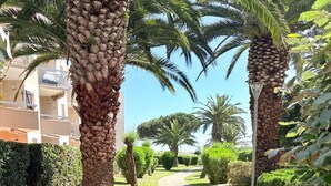 Un camino bordeado por palmeras y un seto, que conduce a un edificio con fachada de piedra.