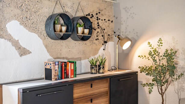 A desk with books, a lamp, and two wall-mounted shelves with plants. - Apartment 'Fewo Abendruh' with Private Terrace and Wi-Fi (Elzach)