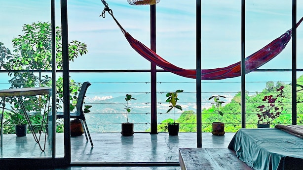 Een kamer met grote ramen, een hangmat en potplanten.