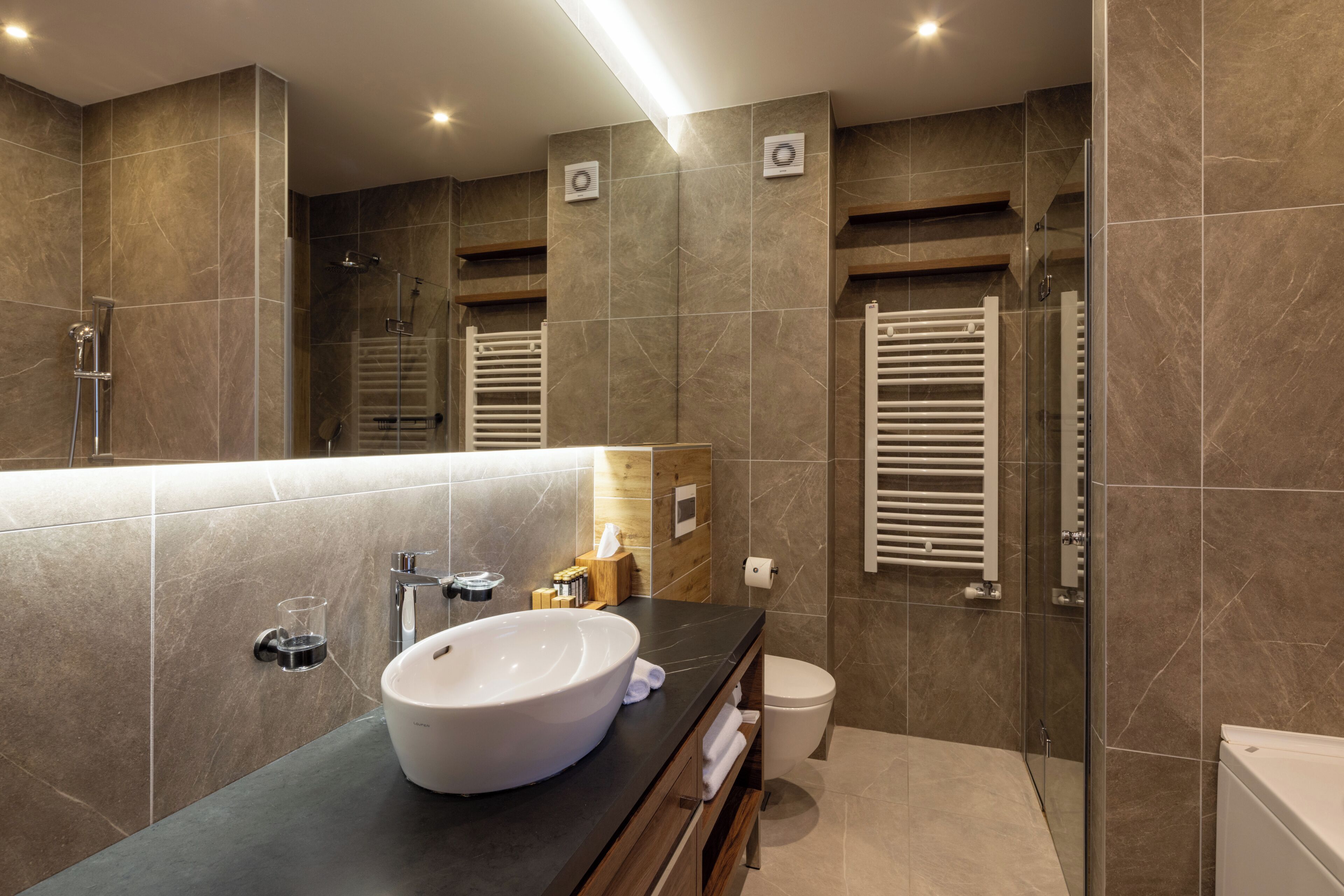 A modern bathroom with a large sink, a glass shower enclosure, and a toilet.