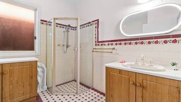 Shower, hair dryer, towels, shampoo