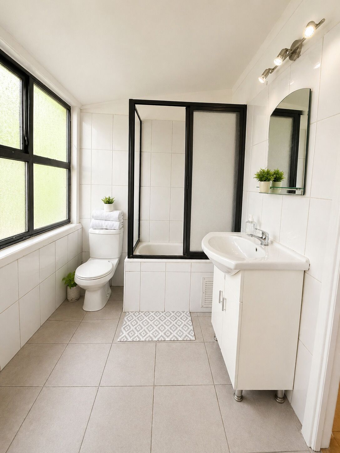Hair dryer, soap, toilet paper