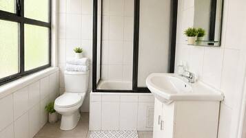 Hair dryer, soap, toilet paper