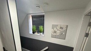 A room with a window, a small plant, and a wall-mounted artwork. - Moor Park Apartments  (Preston)