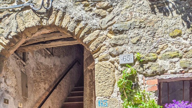 A stone staircase leading to a door, a mailbox marked with the number 65, and a potted plant with flowers. - The Tinello - Virgoletta (Virgoletta)