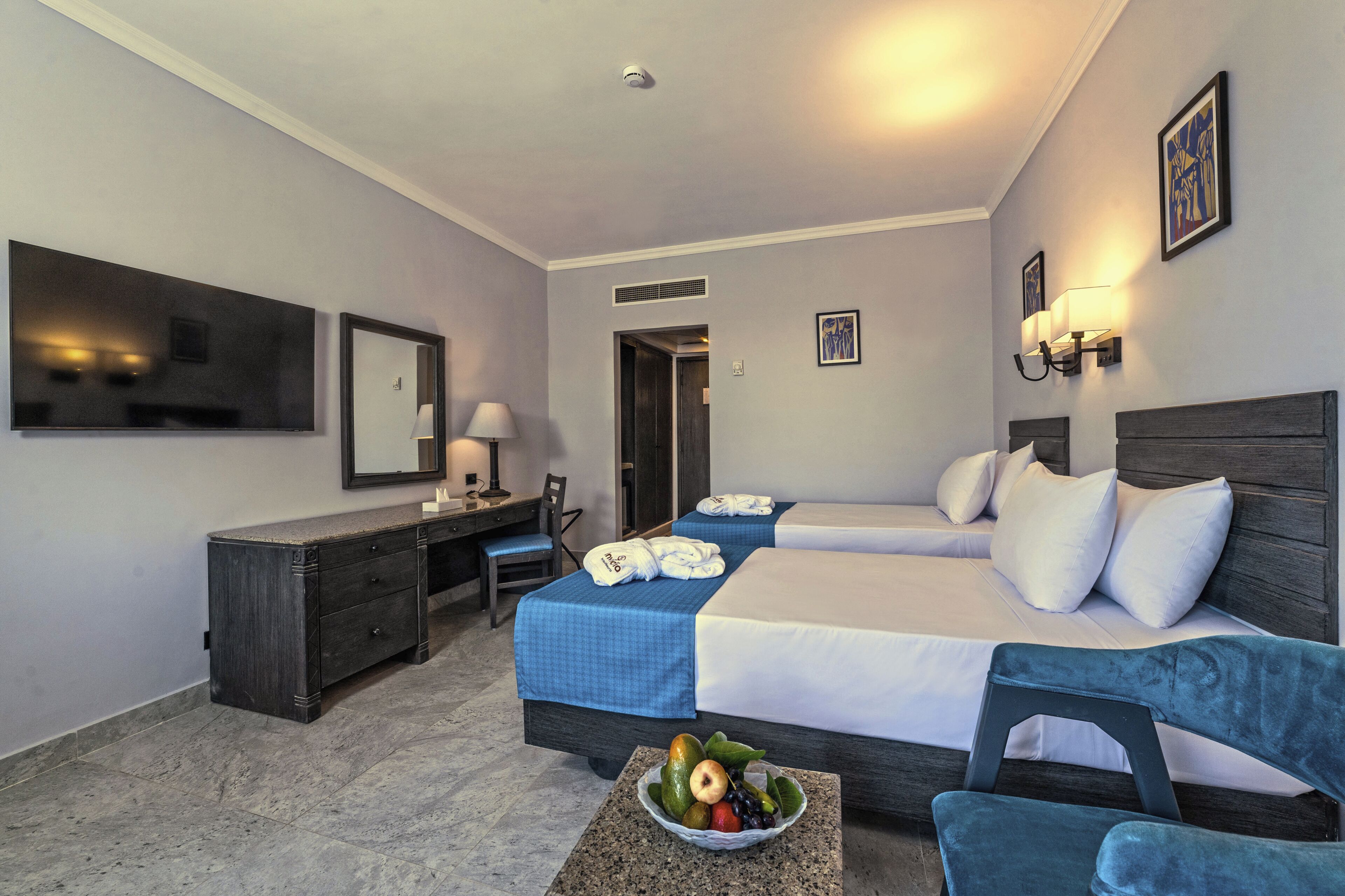 Classic Double or Twin Room, Garden View