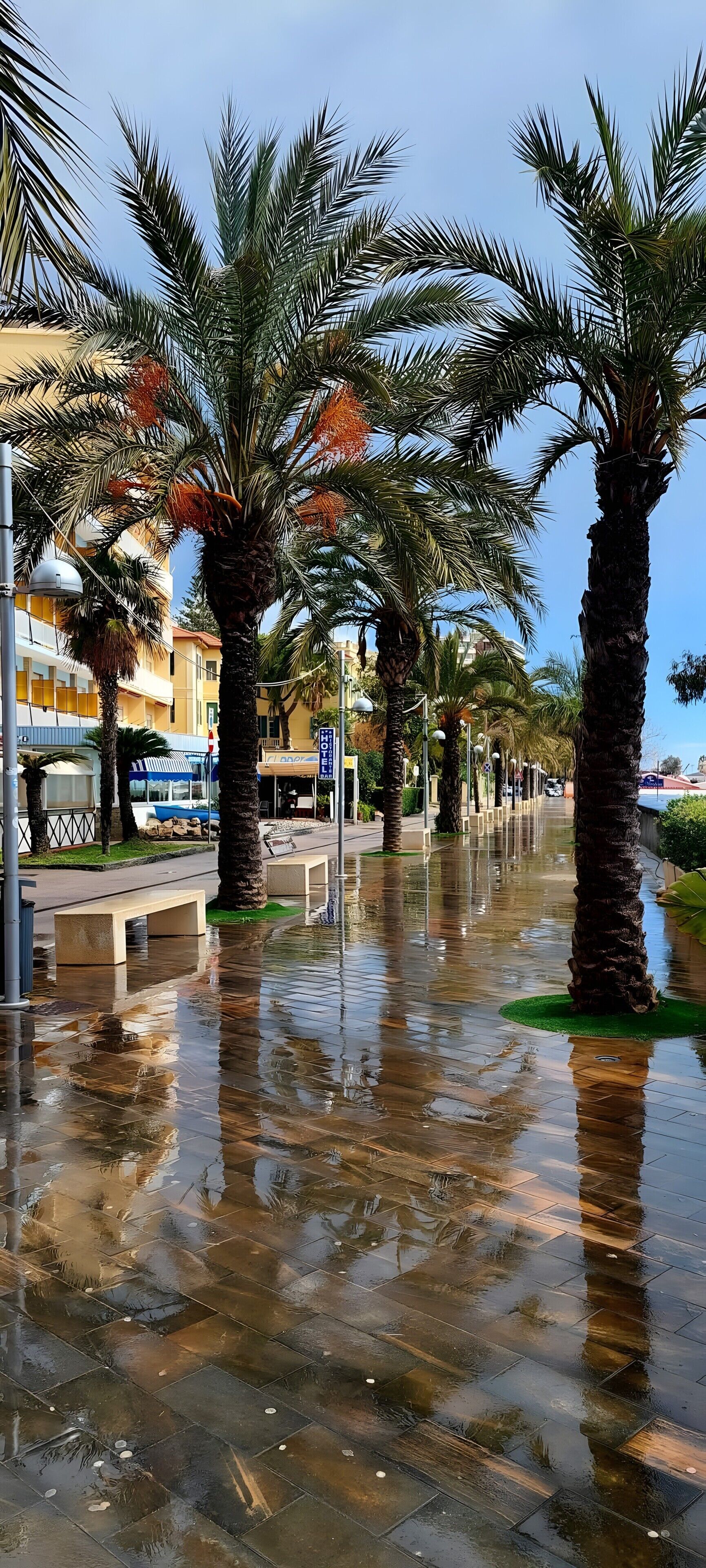 منوع