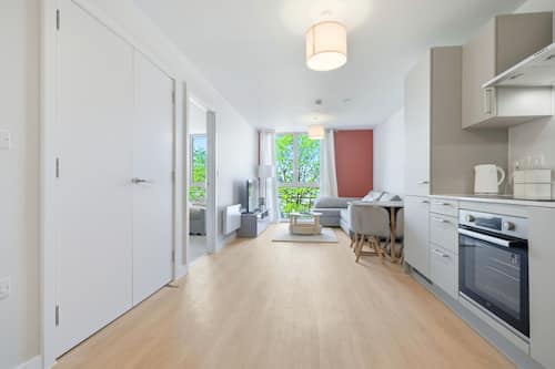 Luxury Apartment, 1 King Bed with Sofa bed, Non Smoking, Kitchenette | Living area
