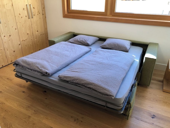 1 bedroom, Internet - CATRINA RESORT, (Disentis / Mustér), 2010 by Interhome (Disentis)