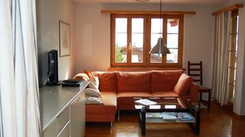 Télévision, cheminée, lecteur de DVD