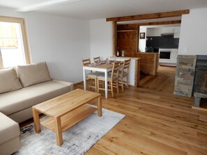 Fernseher, Kamin