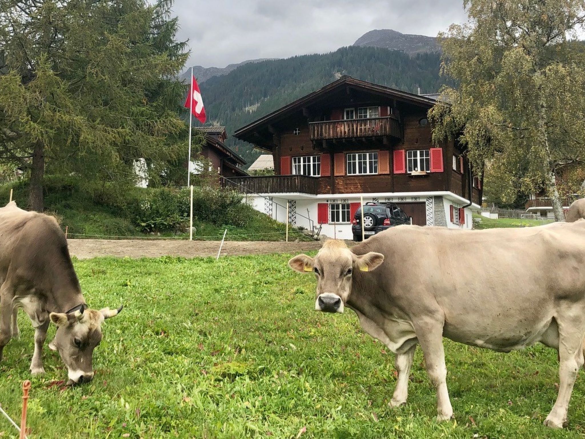 Unterkunftsgelände