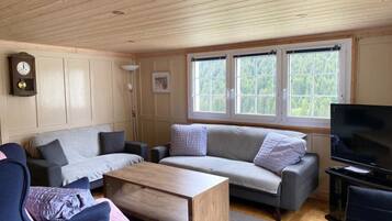 Fernseher